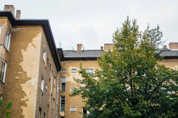 Ağaç ile eski kin binası