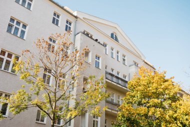 Ön tarafında sarı ağaç olan beyaz bir bina.