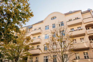 Prenzlauer berg 'deki ev. Sol tarafında büyük bir ağaç var.