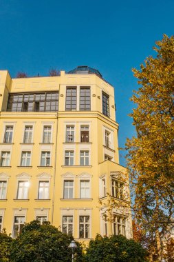 Sonbahar ağacının yanındaki sarı köşe bina.