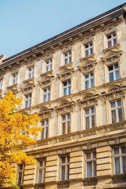 Berlin 'de sonbaharda yenilenmiş cephe