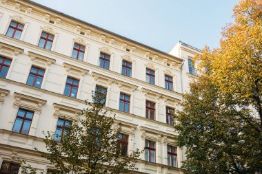 Ön tarafında büyük ağaçlar olan güzel bir ev.