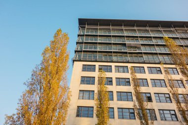 Sarı ağaçlı büyük ofis binasının alçak açılı görüntüsü