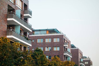 Yeşil çalıları olan tuğlalı evler.