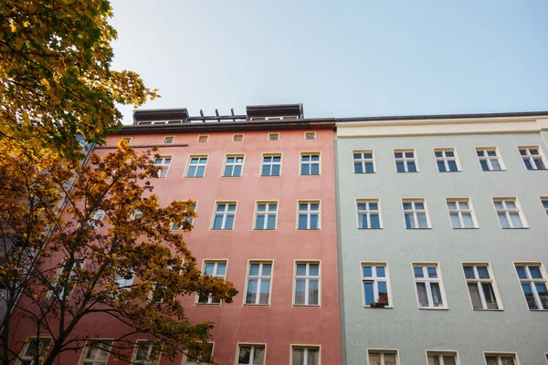 Fachadas Vermelhas Cinzentas Edifícios Apartamentos Com Árvore Lado — Fotografia de Stock