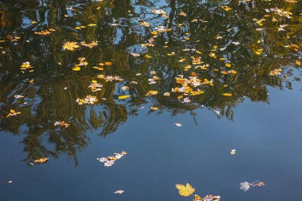Jesienią Liście Ciemnej Rzece — Zdjęcie stockowe