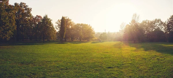 Panorama Czystego Parku Berlinie Ciepłym Światłem Słonecznym — Zdjęcie stockowe