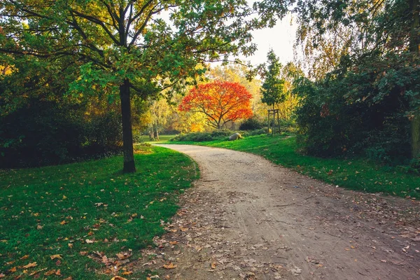 Sendero Parque Otoño — Foto de Stock