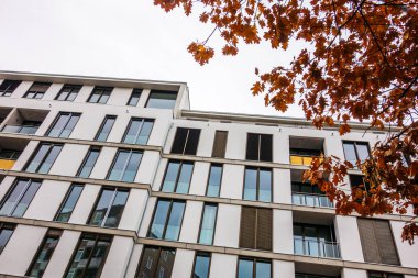 Tepesinde kırmızı ağaç olan modern beyaz bir daire.