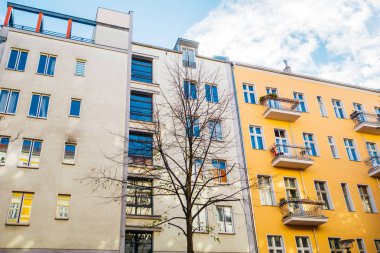 modern apartment buildings with autumn tree in the foreground