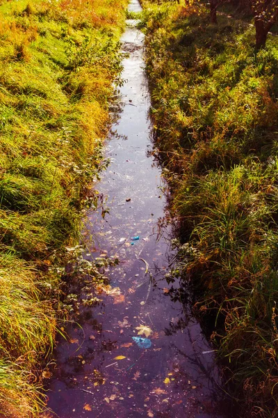 Mała Rzeka Zieloną Trawą Boku — Zdjęcie stockowe