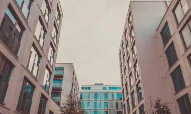 Modern ofis binaları. Ortasında eski yapraklar var.