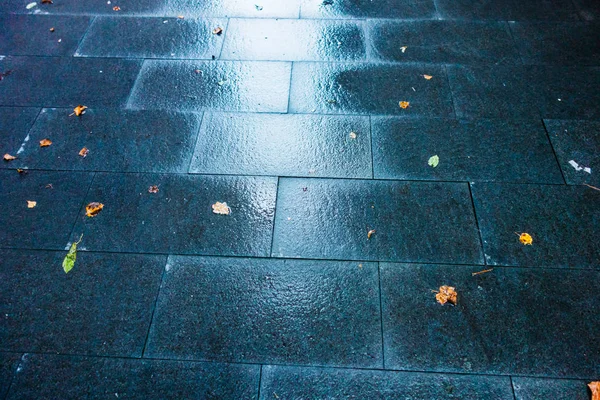 Street Rain Some Leafs — Stock Photo, Image