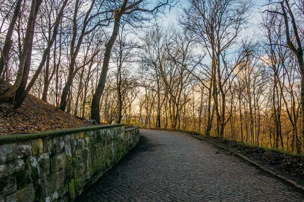 Manera Típica Piedra Parque Alemania — Foto de Stock