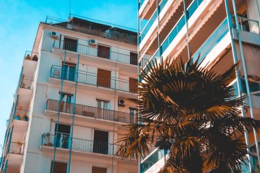 mediterranean building with palm in the foreground