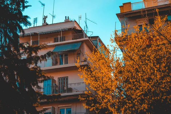 Niektóre domy apartamentowe z drzewami pomarańczowymi na pierwszym planie — Zdjęcie stockowe