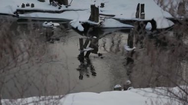 Klyazma kışın şafağında buharlaşır.