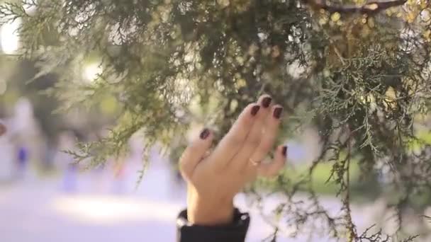 Красива Вагітна Дівчина Парку — стокове відео