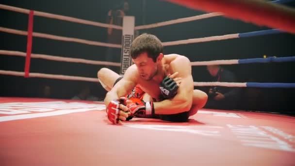 Belgorod, russland - 22. oktober 2016: athleten im ring mixed martial arts turnierserie "industrials - battle in belgorod" — Stockvideo