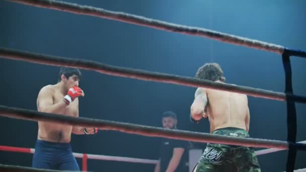 Belgorod, Rusia - 22 de octubre de 2016: Atletas en el ring de la competencia de artes marciales mixtas serie de torneos "Industriales - Batalla en Belgorod " — Vídeos de Stock