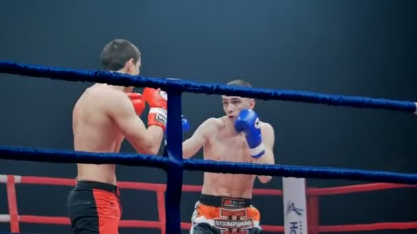 Belgorod, Rusia - 22 de octubre de 2016: Atletas luchadores en el ring de las artes marciales mixtas de la competencia de la serie de torneos "Industriales - Batalla en Belgorod " — Vídeo de stock