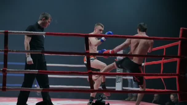 Belgorod, Rusia - 22 de octubre de 2016: Atletas luchadores en el ring de las artes marciales mixtas de la competencia de la serie de torneos "Industriales - Batalla en Belgorod " — Vídeos de Stock