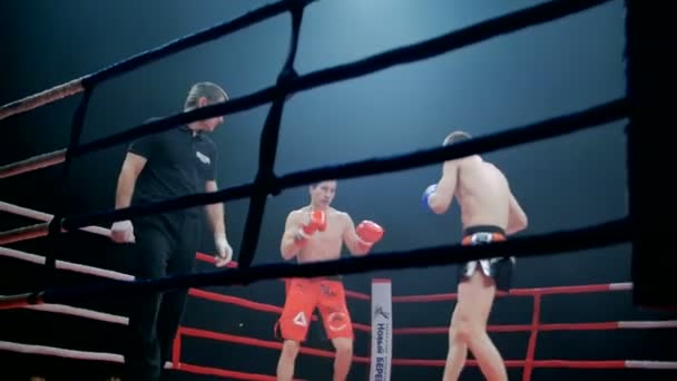 Belgorod, Rusia - 22 de octubre de 2016: Atletas luchadores en el ring de las artes marciales mixtas de la competencia de la serie de torneos "Industriales - Batalla en Belgorod " — Vídeos de Stock