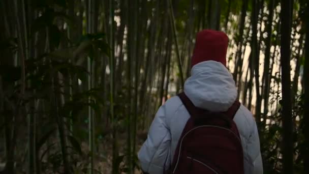 Девушка ходит по бамбуковым зарослям — стоковое видео
