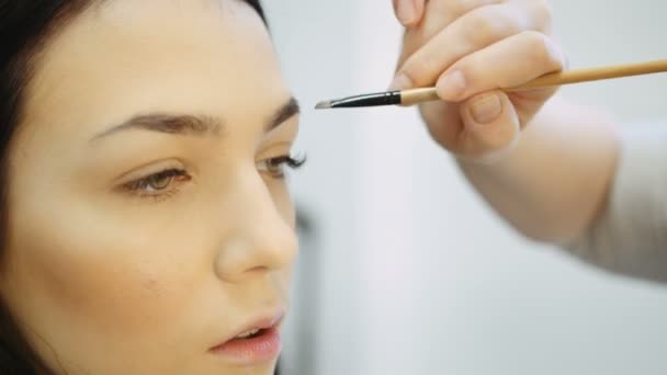 Applicazione professionale del mascara di trucco con pennello - lavoro nei cosmetici dell'industria della moda di bellezza — Video Stock