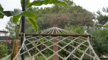 Güneşli bir günde bir arka bahçe üzerinde bir hamak yakın çekim