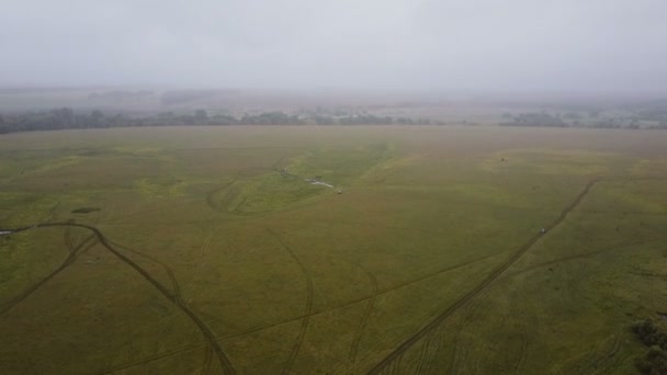 Vista aérea. Paisagem panorâmica do outono. Paisagem com campo e árvores no nevoeiro. Câmera de drones — Vídeo de Stock