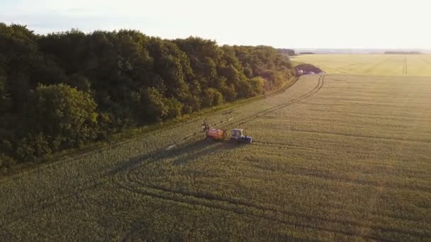 4К вид сверху. Трактор работает на зерновом поле на закате — стоковое видео