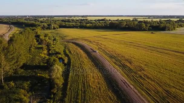 Survol d'une route de paysage rural. Terres agricoles. Vue aérienne d'une route rurale avec une voiture dessus .