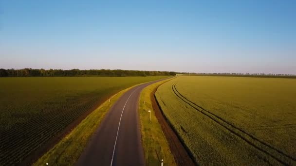 Luftaufnahme. fliegen am Sommerabend über eine leere Landstraße zwischen gelben und grünen Feldern — Stockvideo