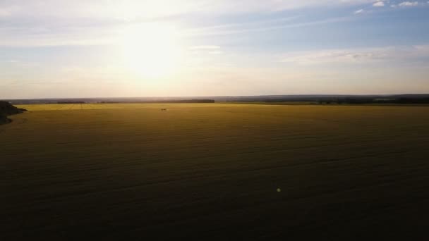 Vista aérea 4K. Tractor está trabajando en el campo de grano al atardecer — Vídeos de Stock