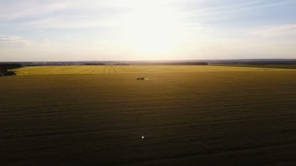 4k Luftaufnahme. Traktor arbeitet bei Sonnenuntergang auf Getreidefeld — Stockvideo