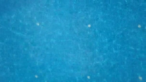 空中 4 k。男、ホテルのプールで泳ぐ。上からの眺め. — ストック動画