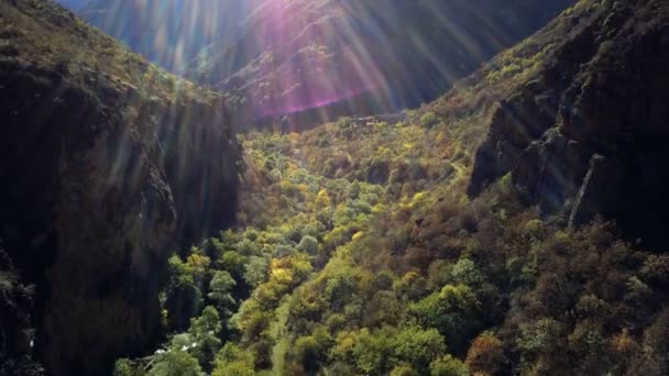 Drone aéreo tiro de ravibe floresta entre montanhas com rio e mosteiro abandonado abaixo — Vídeo de Stock