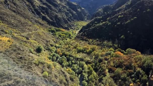 Повітряний безпілотник стріляв по лісових ущелинах між горами з річкою внизу — стокове відео