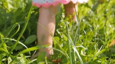 Küçük bebek yürümeyi öğrenir. Ağır çekim. Yaz aylarında yeşil çimenlerin üzerinde ilk adımları. Yürümeye başlayan çocuk açık havada yeşil çimenlerin üzerinde yürümeyi öğreniyor. Ayakları üzerinde kapat.