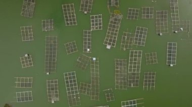 Okyanus yüzeyinin ve balıkçıların hava aracı görüntüsü...