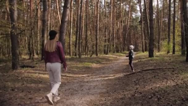 Mutter und Tochter spazieren gemeinsam im Wald. — Stockvideo