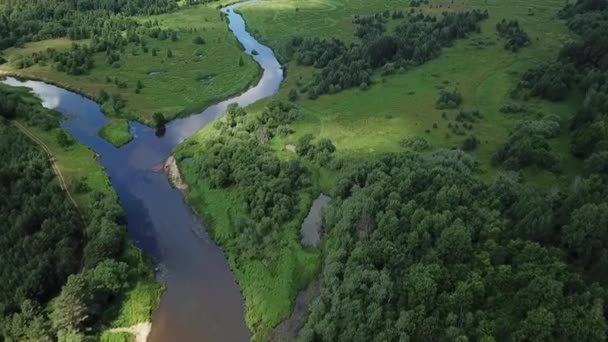 Vlieg Het Rivierlandschap Zonnige Dag — Stockvideo