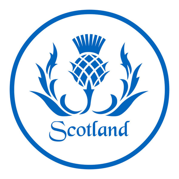 Floral emblem of Scotland, the thistle