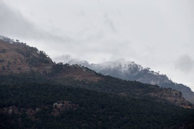 Dağların manzarası, bulutların içindeki orman.