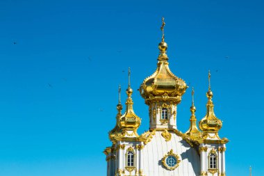 Rusya. St. Petersburg. Peterhof. 25 2016 saray olabilir. Çeşmeler. Bir park.