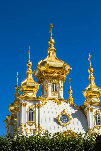 Rusia. San Petersburgo. Peterhof. 25 mayo 2016 El Palacio. Fuentes. Un parque . — Foto de Stock