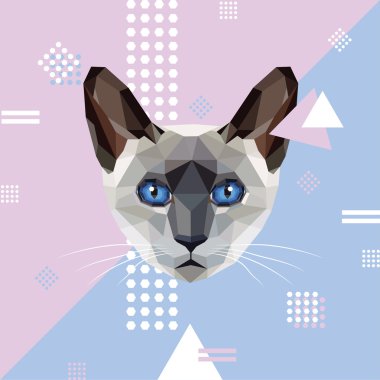 poligonal tasarım kedi namlu