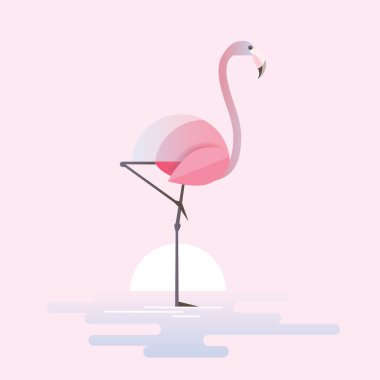 Pembe flamingo ayakta 