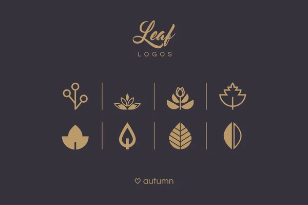 Різні іконки осіннього листя — стоковий вектор